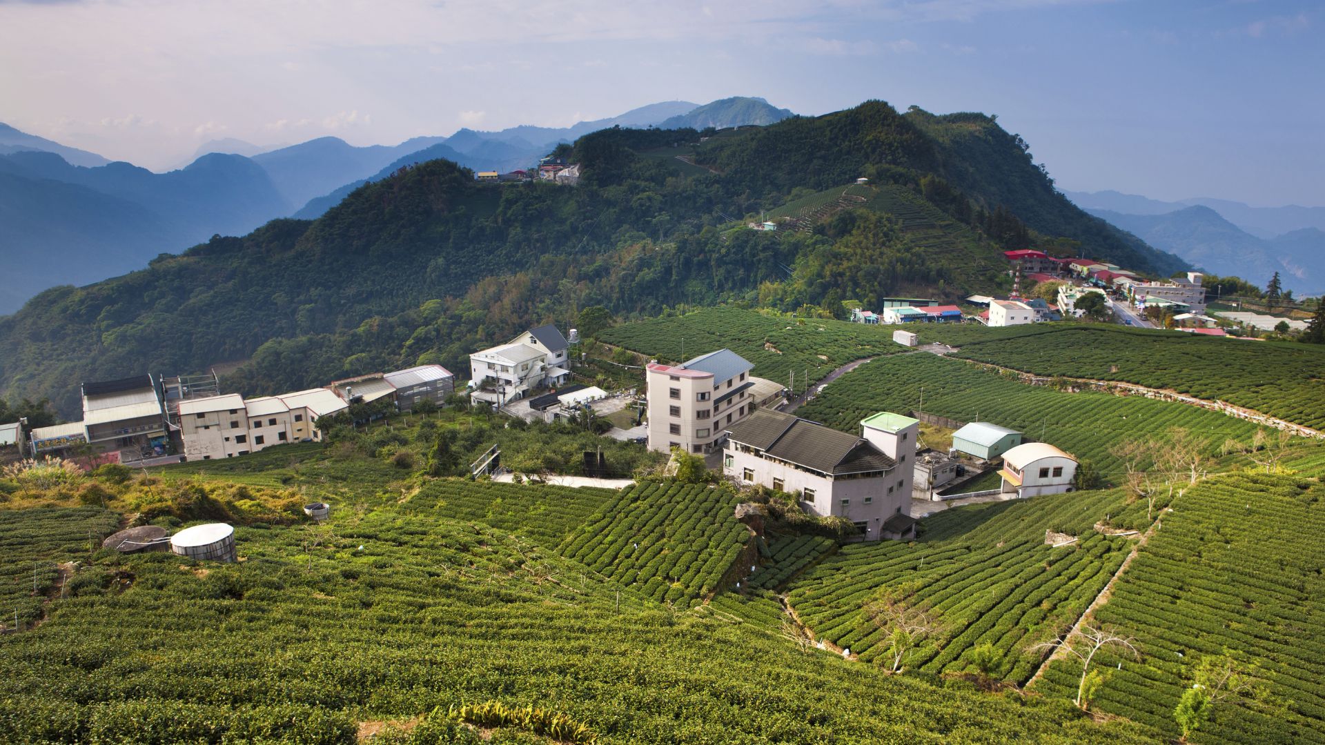 雪山東峯