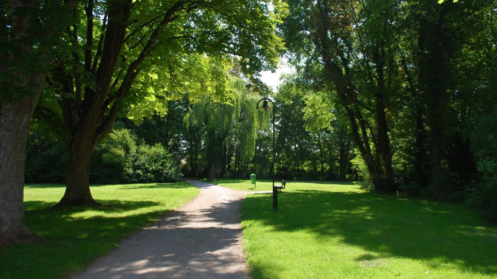 觀霧步道